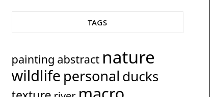 tag cloud which is shown on the linked blog page, showing the tags "personal" and "ducks" right next to each other