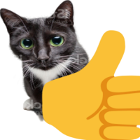 :thumbsupcat@plasmatrap.com: