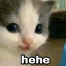 :hehe@cofe.rocks: